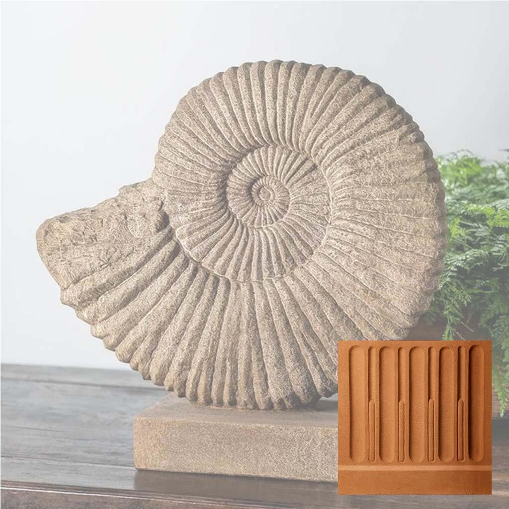 Ammonite, Medium