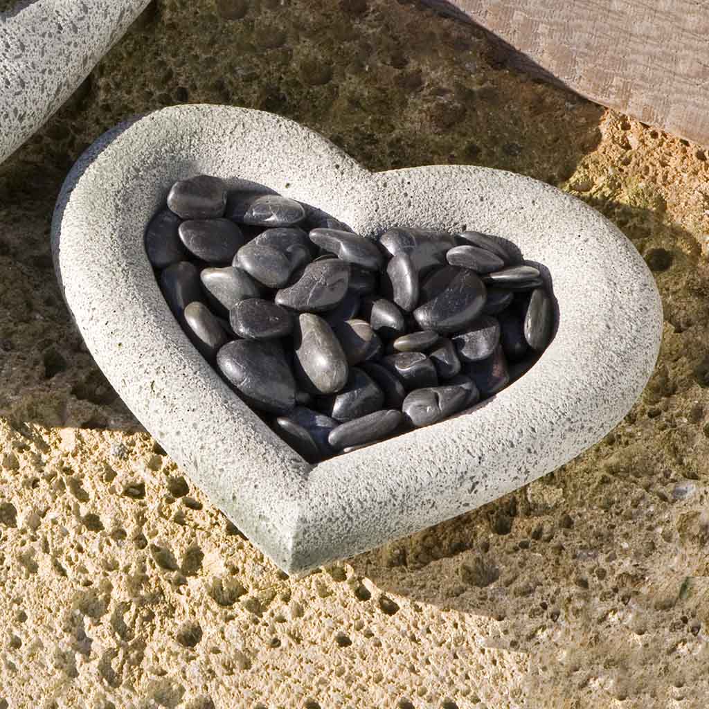 Heart Shell - Small